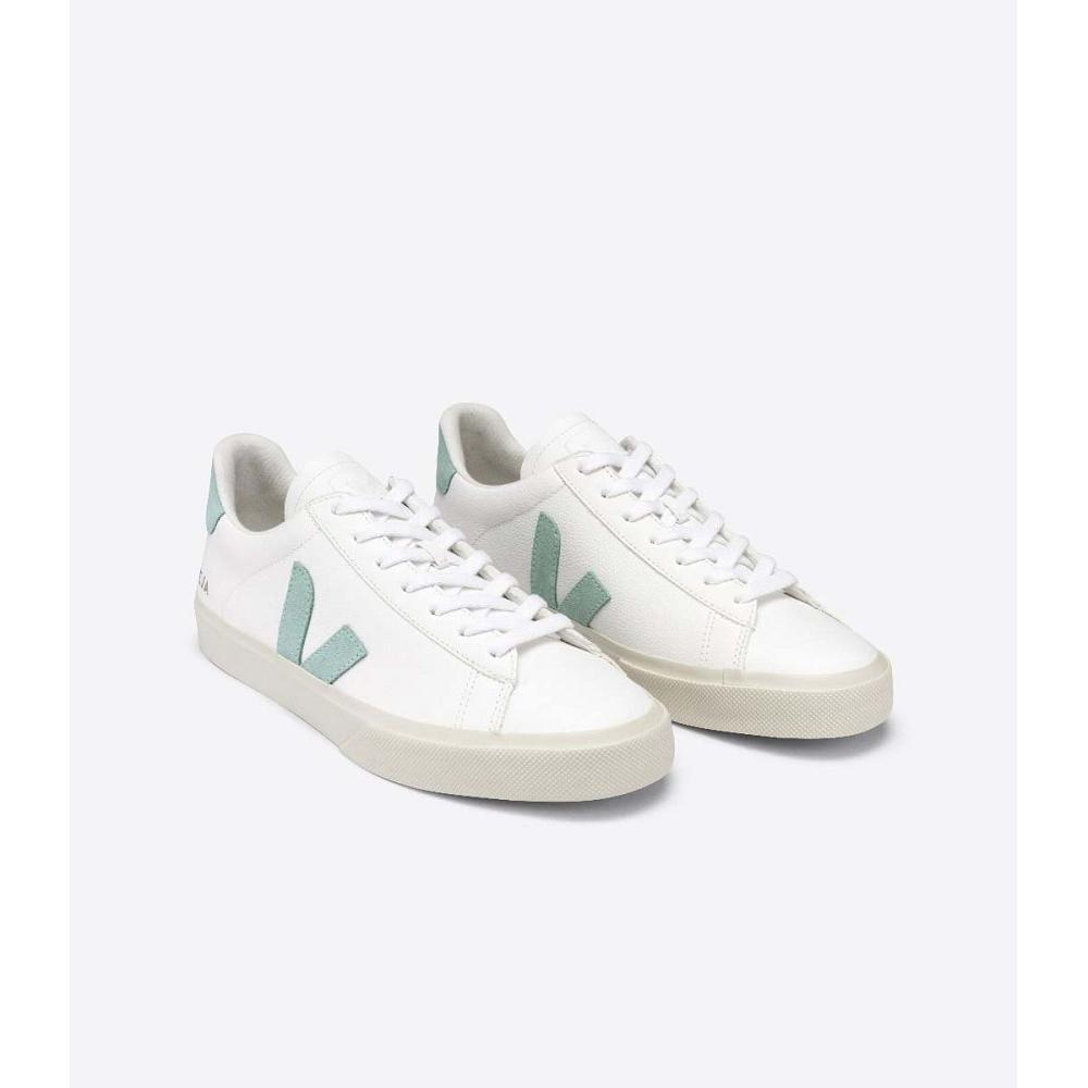 Low Tops Sneakers Veja CAMPO CHROMEFREE Hombre White/Green | MX 196NWY